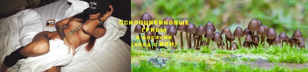 2c-b Няндома