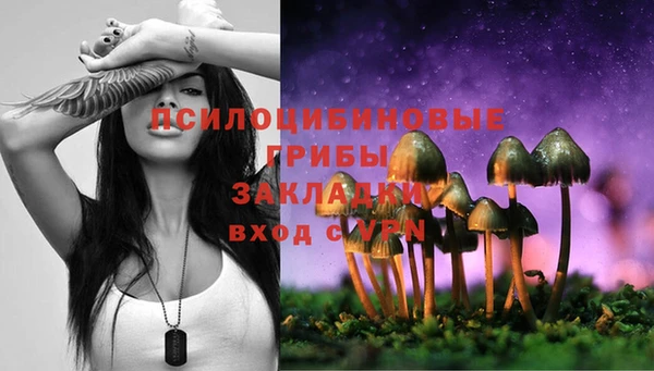 не бодяженный Алзамай
