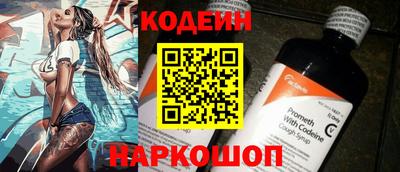 молекула духа Кингисепп