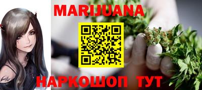 молекула духа Кингисепп