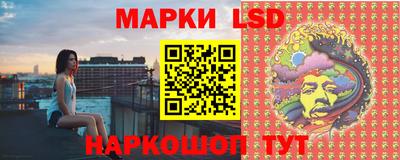 молекула духа Кингисепп