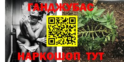 дмт Кимры