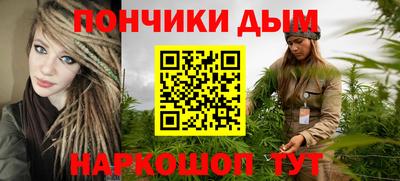 молекула духа Кингисепп