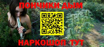 молекула духа Кингисепп