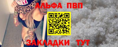 молекула духа Кингисепп