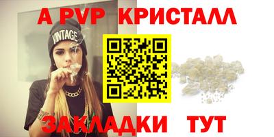 молекула духа Кингисепп