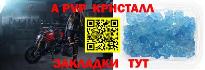 молекула духа Кингисепп