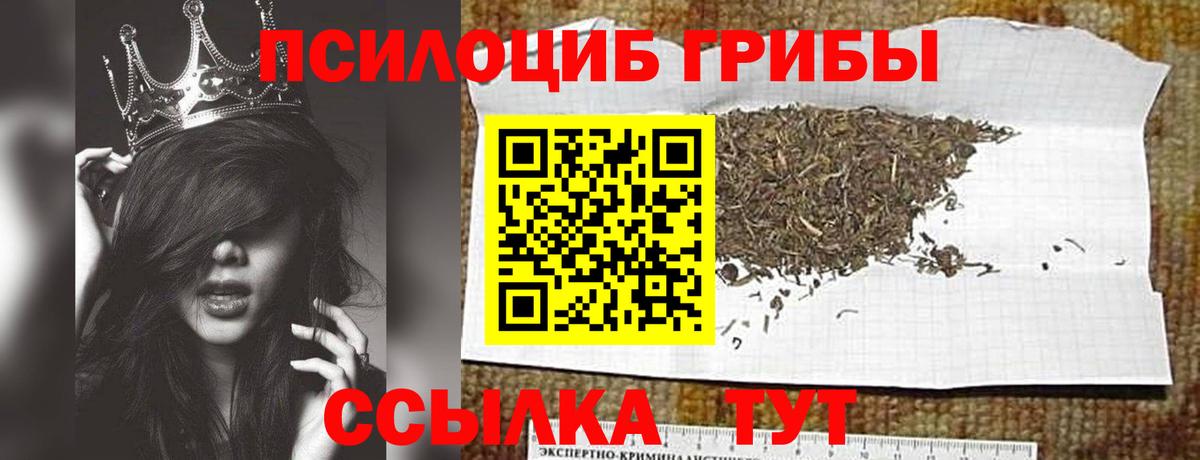 Прохладный  Псилоцибиновые грибы Psilocybine cubensis  Вход с VPN 